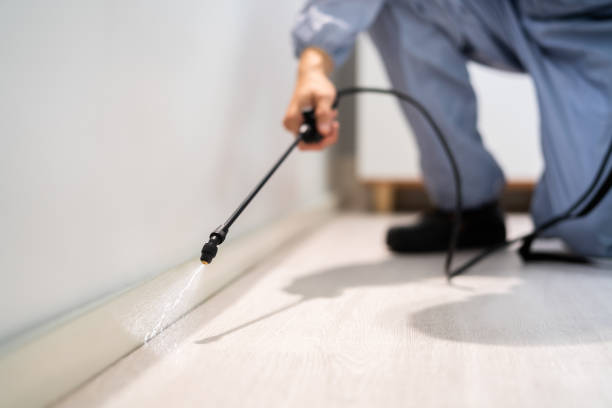 Licensed Pest Control service in Falkville, AL - Show Me Pest Control