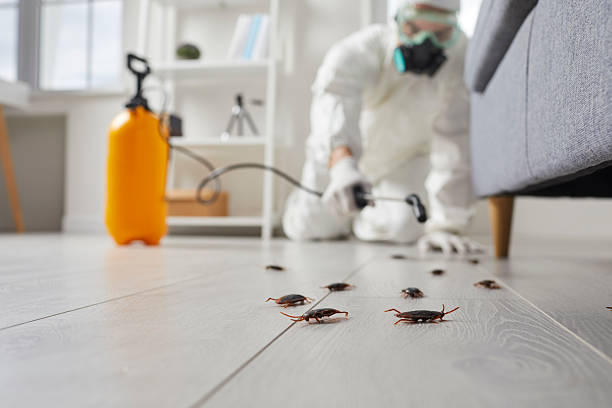 Post-Treatment Bed Bug Interceptor Monitoring in Falkville