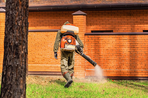 Bed Bug Clearance Verification and Documentation in Falkville